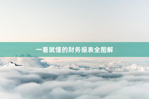 一看就懂的财务报表全图解