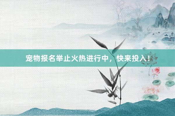 宠物报名举止火热进行中，快来投入！