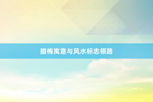 腊梅寓意与风水标志领路