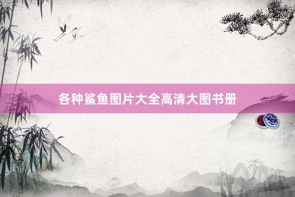 各种鲨鱼图片大全高清大图书册