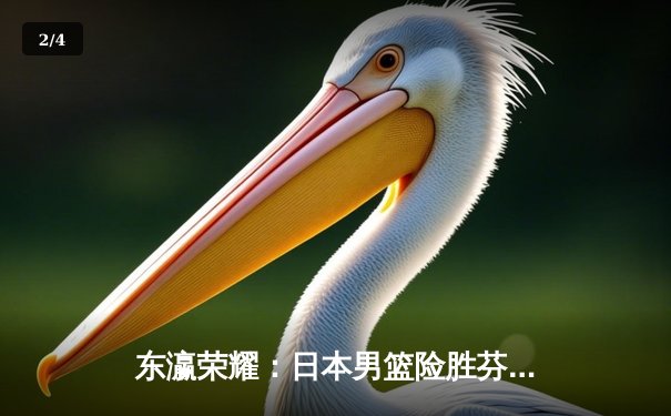 东瀛荣耀：日本男篮险胜芬兰，历史性闯入奥运会八强赛 - 2